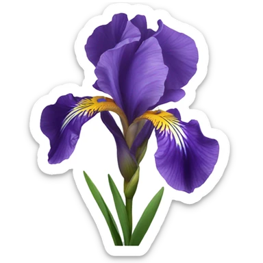 Iris flowers  sticker