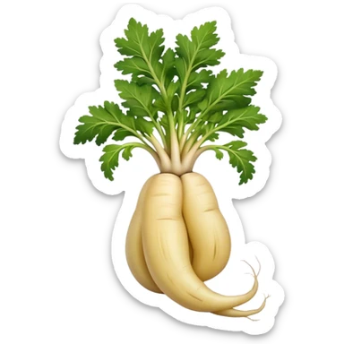parsnip root sticker