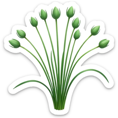 chives  sticker