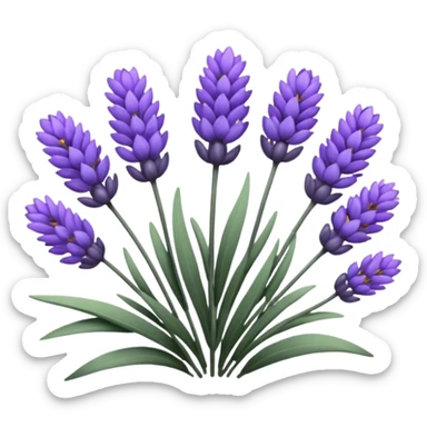 Lavender  sticker