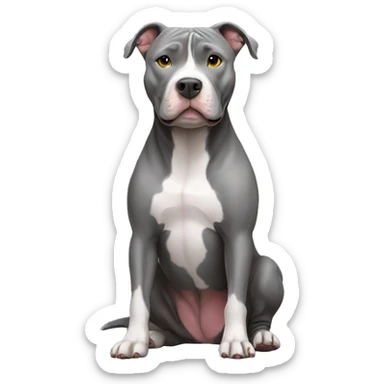 Gray Pitbull sitting sticker