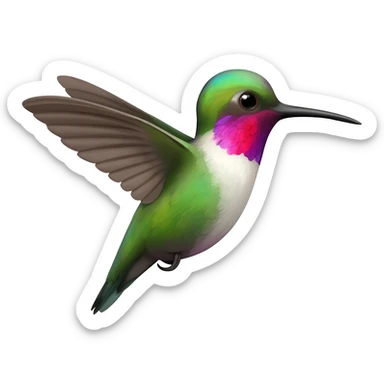 Colibri sticker