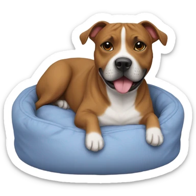 Staffie dog in small bed sticker