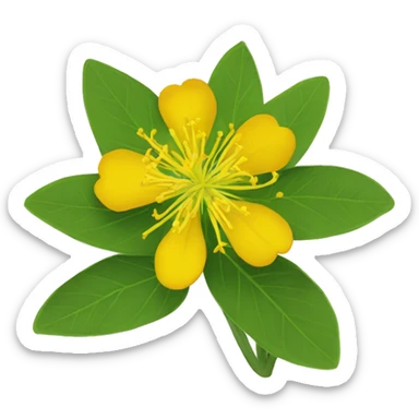 St. John's wort, sticker