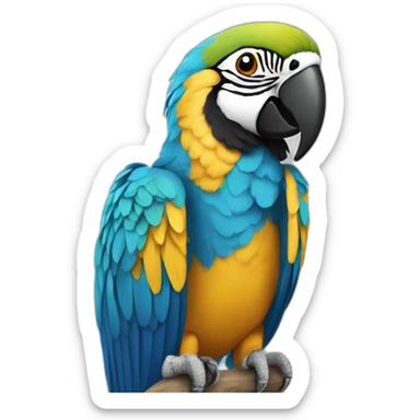 Blue and Gold Macaw sticker