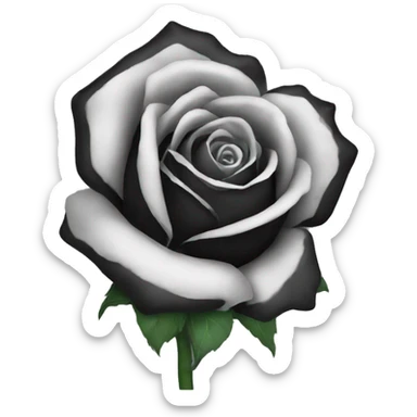 Black rose  sticker