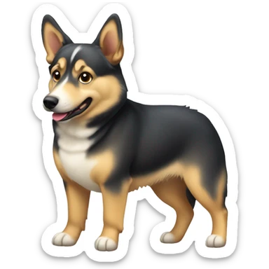 Swedish Vallhund sticker