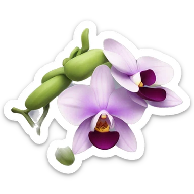 Orchid flower sticker