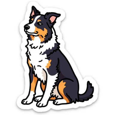 Merle border collie dog sitting sticker
