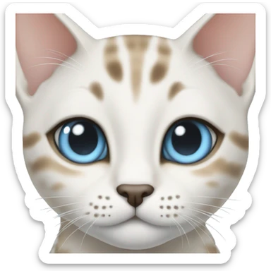 snow bengal cat with light blue eyes sticker