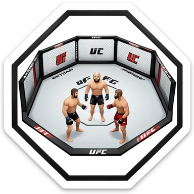 UFC sticker