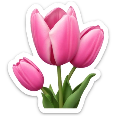 Pink tulips sticker