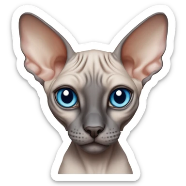 Sphynx cat , big ears, siamese colour , thin , blue eyes  sticker