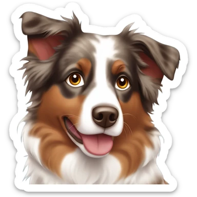Red merle Australian Shepherd in love sticker