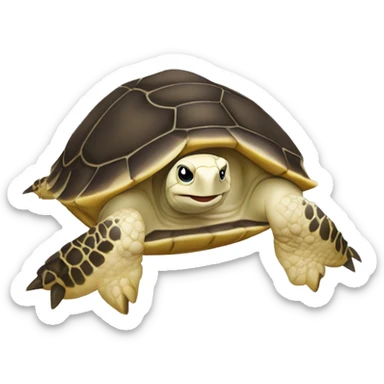 chat écaille de tortue sticker