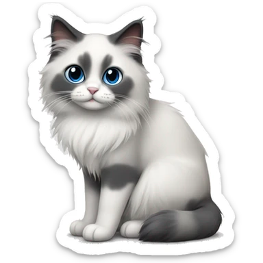 Ragdoll cat blue bicolor sticker