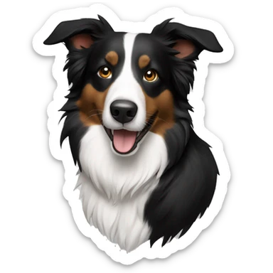Black Border collie  sticker