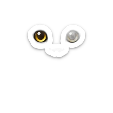 cute fluffy maine coon cat sticker