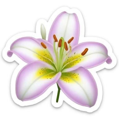lily flower sticker
