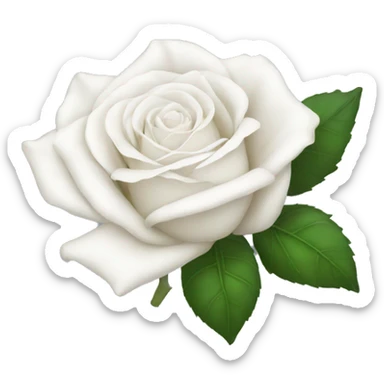 White rose sticker