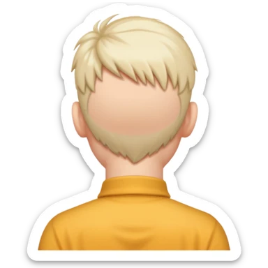 photographer view from behind sticker