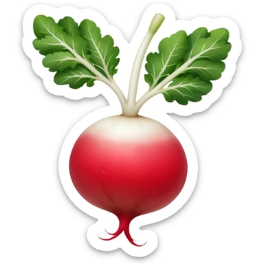 smaller radish UK plant with a bit of white on the bottom of the radish sticker