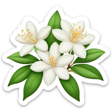 Jasmine flowers  sticker