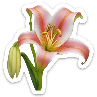 Trumpet lily flower sticker