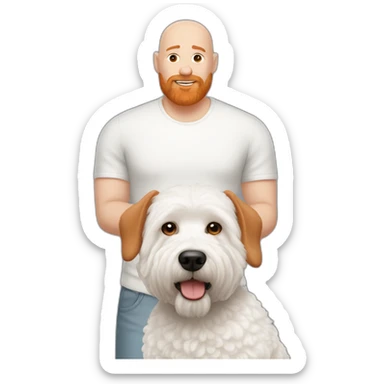 Bald man with ginger beard and Bichon frise sticker