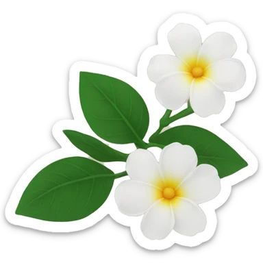 3 jasmins flowers with leafs sticker