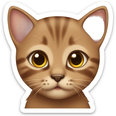 brown kitten with brown eyes sticker