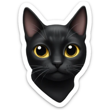 black cat white spot chest sticker