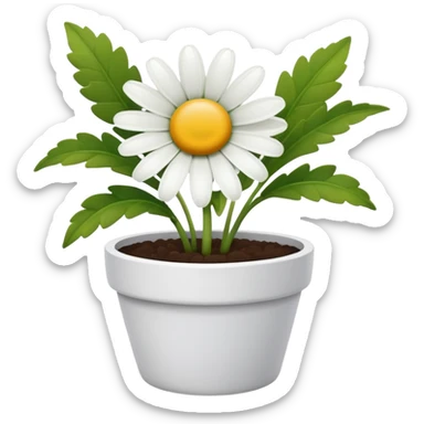 single daisy flower pot sticker