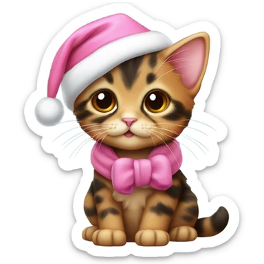 Cute tortoiseshell kitten wearing a pink Santa hat and coat sticker