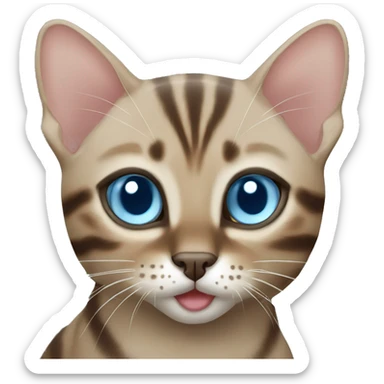 Mink bengal cat with light Blue eyes sticker