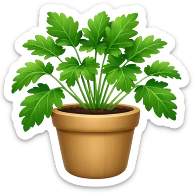 cilantro sticker