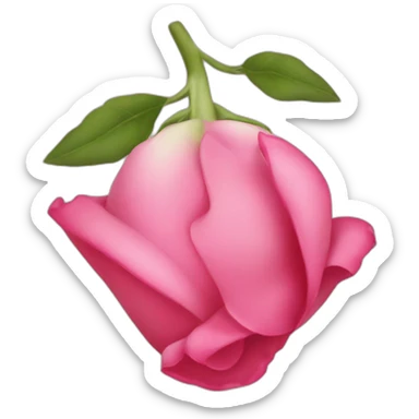 Fesses rose sticker
