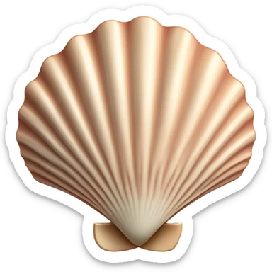 scallop shell sticker