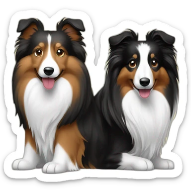 broun and bi-black shelties are friends sticker