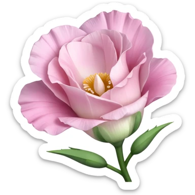 Beautiful light pink flower Eustoma sticker