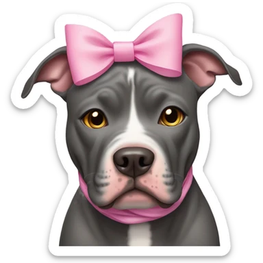 Charcoal grey pitbull with honey colored eyes and pink bows sticker