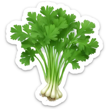 Cilantro sticker