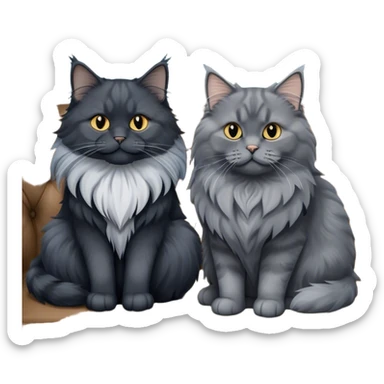 A large black smoke Maine Coon cat with long grey ear tufts and a fluffy grey ruff, sitting next to a chubby British Shorthair cat in blue color with plush fur, both sitting comfortably on a leather sofa. Beautiful room background with flowers and soft lighting. Transparent background. sticker