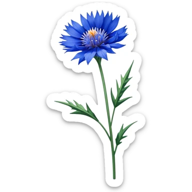 single blue Cornflower, straight stem sticker