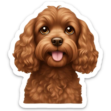 brown cavoodle sticker