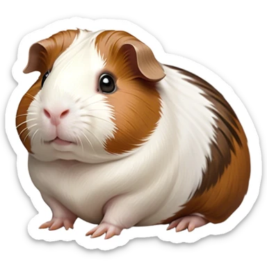 Cinematic Noble Brown and White Banded Guinea Pig Portrait Emoji, Poised and regal, with a compact, chubby build and a uniquely patterned coat of warm brown and crisp white banding, deep-set soulful dark eyes, Simplified yet sharp and sophisticated features, highly detailed, glowing with a soft, dignified glow, high shine, intelligent and charming, stylized with an air of distinctive elegance, focused and attentive, soft glowing outline, capturing the essence of a watchful and confident companion, so majestic it feels as though it could scurry out of the screen with effortless authority! sticker