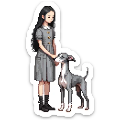 Slim Chinese girl with long black hair petting an Italian greyhound with completely uniform solid grey color throughout its entire body and face, with no white markings anywhere sticker