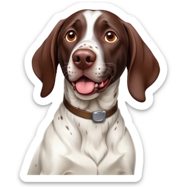 Cinematic Comical German Pointer Portrait Emoji, Head tilted dramatically with an exaggeratedly amused expression, featuring a striking liver and white coat with bold markings, wide, expressive brown eyes filled with playful disbelief, Simplified yet hilariously expressive features, highly detailed, glowing with a slightly sassy glow, high shine, dramatic yet playful, stylized with an air of cheeky charm, bright and endearing, soft glowing outline, capturing the essence of a spirited and over-the-top companion, so meme-worthy it feels like it could side-eye its way into internet fame instantly! sticker