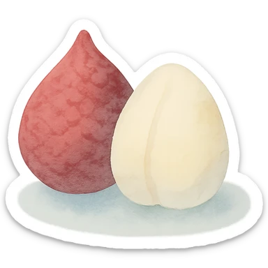 salak fruit, watercolor style, soft edges, natural colors, artistic, no background sticker