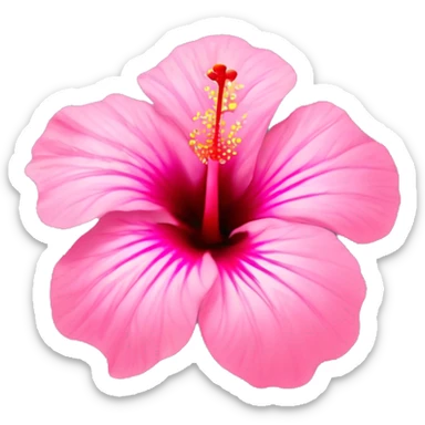￼Pink hibiscus flower with rain drops on it  sticker
